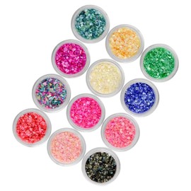 OHPHCALL 12pcs Nail Art Powder Set Colors Shell Powder Kit DIY Manicure Brush Fashion Nail Glitter