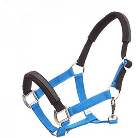 Kavalkade KavalLastic Safety Holster Made of Stretchy Material (Warmblood, Cyan)
