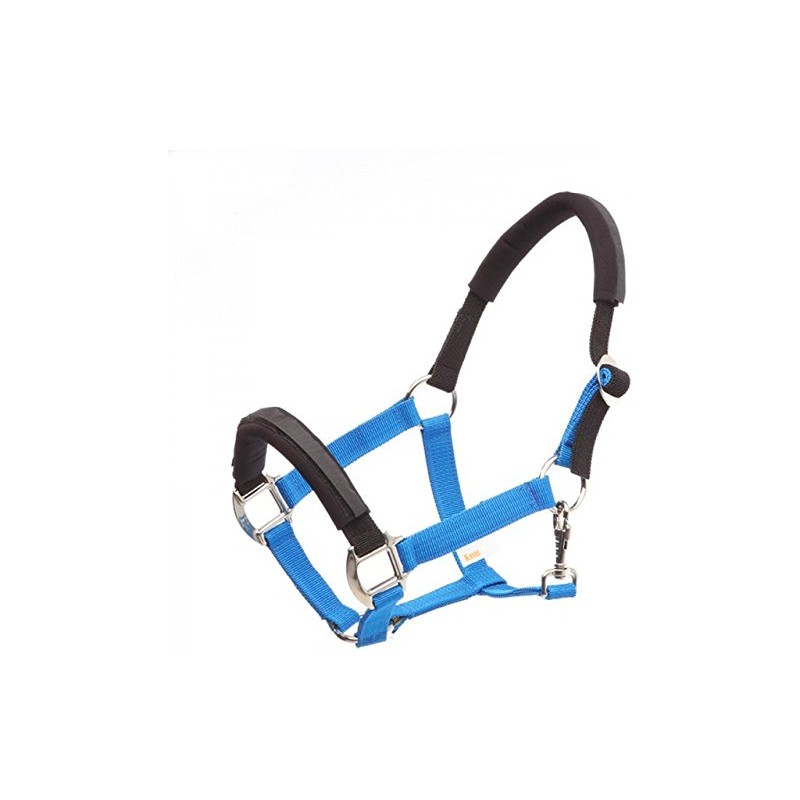 Kavalkade KavalLastic Safety Holster Made of Stretchy Material (Warmblood, Cyan)