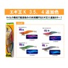 YAMASHITA 594997 Squid Lure, Squid Lure King K, 3.5 #049,