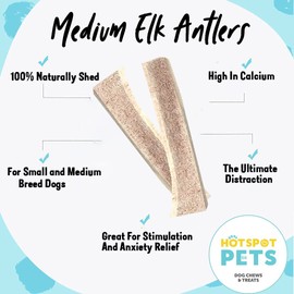 Split Elk Antlers for Dogs - 6 Inch Long Dog Chews, Naturally Shed Antler Bone for Medium Breed Aggressive Chewers - Made in USA - No Chemicals or Preservatives (3 Pack) (6 Count)