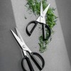Kai Europe 83BK-0202 Michel Bras Kitchen Scissors, steel/plastic, 20.3 x