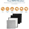 Filter-Monster – Odor Reduction Air Filter Replacement Kit - Replacement