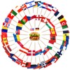 CIYIN Flag Toothpick, Toothpick with Flags, 100 Different Country Flags,