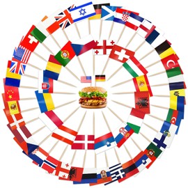CIYIN Flag Toothpick, Toothpick with Flags, 100 Different Country Flags, European Countries Toothpicks, for Party Decoration Olympia EM 2024, World Cup Decoration