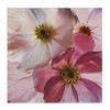 Premium Collection by Jean Pack of 20 Napkins Spring Pink