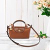 Strap compatible for Longchamp Mini Bag,Handbags Straps with Gold Hardware,