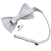 Adam Young Men's Light Gray Bow Tie Pre-Tied Style Formal