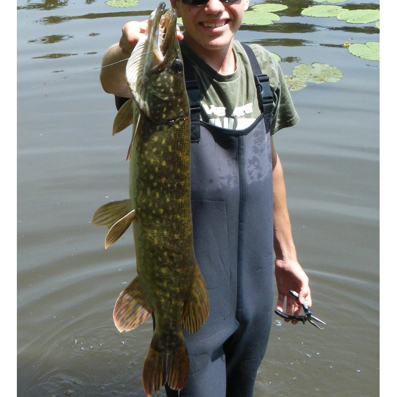 Fluorocarbon (10 m – 70/100-16 kg)