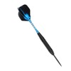 Darts Metal Tip Set Professional Darts with Stylish Case Steel
