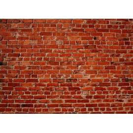 Christmas Backdrop L-0058 7x5ft