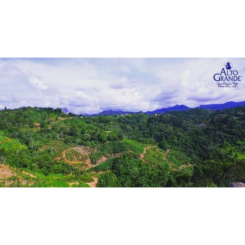 Alto Grande Coffee Super Premium Ground Coffee From Puerto Rico,