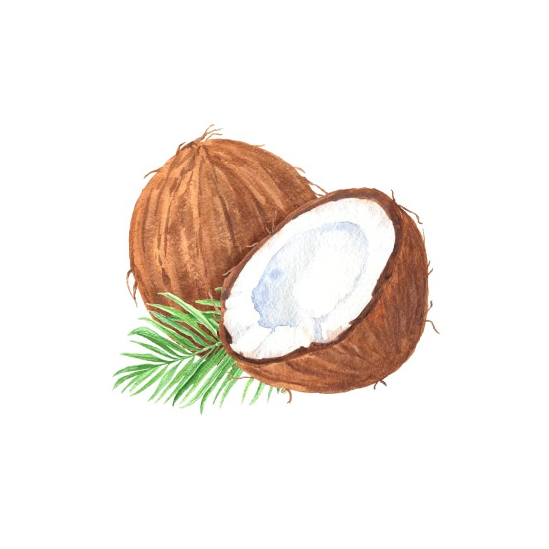 Flavour World High Strength Food Flavouring with pipette 15ml (Coconut)