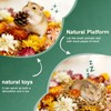 XXYOUPIN Natural Pet Nest Decorations for Small Pets, Hamster &