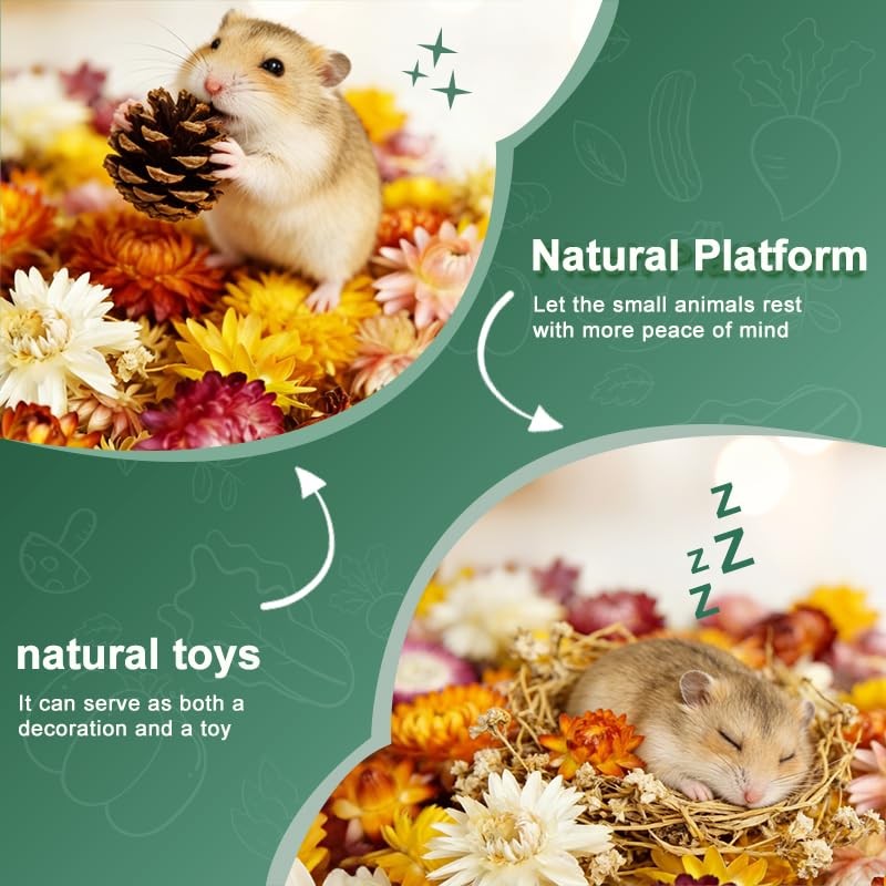 XXYOUPIN Natural Pet Nest Decorations for Small Pets, Hamster &