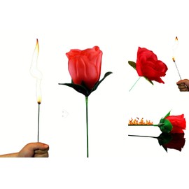 Yeahgoshopping The Torch to Rose Magic Trick – A Mesmerizing Illusion of Transformation - One Rose to Fire