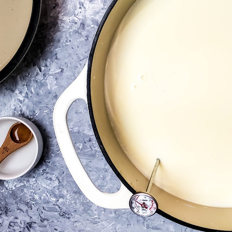 Cultures for Health Paneer & Queso Blanco Artisan Cheesemaking Kit