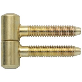 Secotec Anuba Drill-In Hinger 2 Piece Set, 11 mm, High Quality Door Band Steel Brass Plated (2 Pairs)