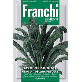 Franchi Curly Kale - Cavolo laciniato Nero di Toscana precoce