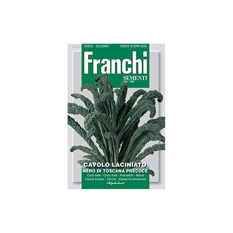 Franchi Curly Kale - Cavolo laciniato Nero di Toscana precoce