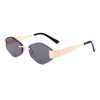 STGATN Trendy Fashion Women's Sunglasses - Lightweight Metal Frame Everyday