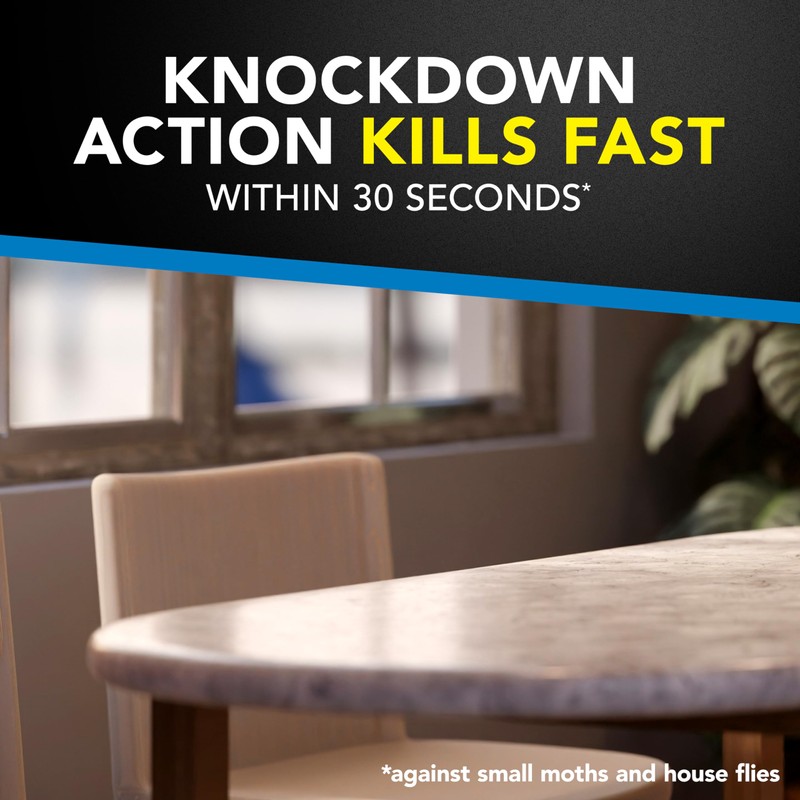 Raid Flying Insect Killer, Kills Flies, Mosquitoes, and Other Flying