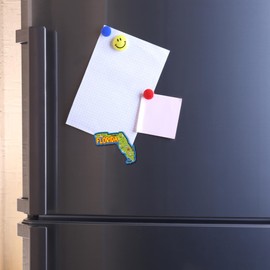 Map of Florida Magnet, Collectible State Souvenir Accessory, Approximately 3 Inches