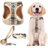 PUPTECK Adjustable Dog Harness Collar and Leash Set Step in