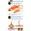 FUNKS Rock Fish Baku Fishing Jigworm, 1 oz (28 g),