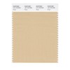 PANTONE Smart 14-1118X Color Swatch Card, Beige