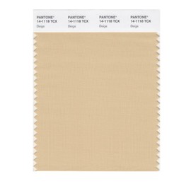 PANTONE Smart 14-1118X Color Swatch Card, Beige