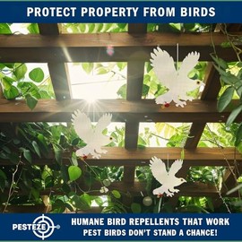 PESTEZE USA Owl Bird Repellent Holographic Decoy with 2 Bells [12.5 × 16 in] Uses Reflective Shine and Sound to Deter Woodpeckers, Pigeons, Crows, Ducks, Geese & Outdoor Pests Safely Around Your Home
