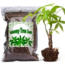 Doter Organic Money Tree Soil Mix 4qt, Indoor Plants Potting Mix for All Potted Money Tree, Grow Healthy houseplants Indoors