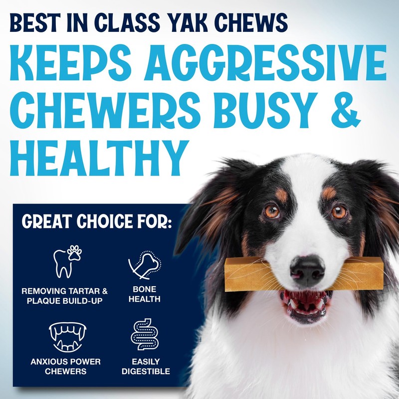 Soft and Tasty Yak Cheese Himalayan Dog Chews - Made