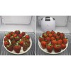 Berry Breeze Activated Oxygen Refrigerator Deodorizer-2023Model