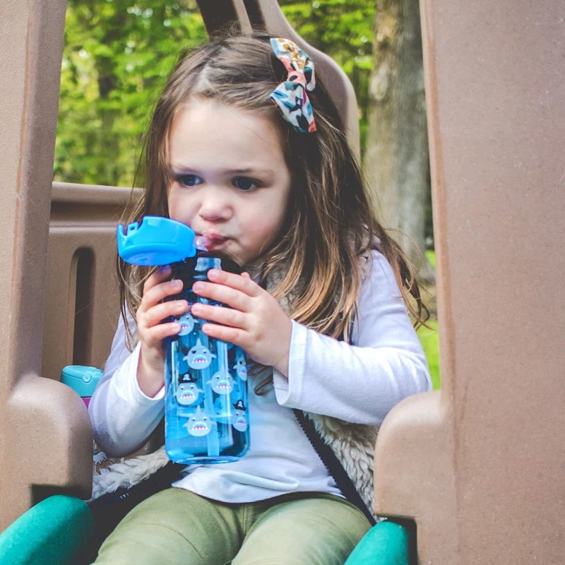 Nuby 2-Pack Kid’s Printed Flip-it Active Water Bottle with Push