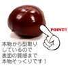 Food Sample Magnet, Likely to Eat, Chestnut, 132.8 ft (335