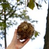 Backyard Essentials Round Vine Bird Nesting Material Ball with All