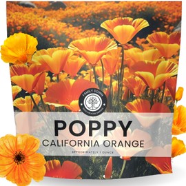 California Poppy Orange - Large 1 Ounce Packet - 20,000 Flower Seeds for Planting - Eschscholzia californica