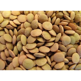 DRIED LENTILS Beans | 20 LBS (Pounds) | USA Grown | Bulk Wholesale Supply | Stock Your PANTRY DINER KITCHEN HOTEL