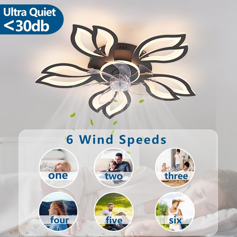 Dalouguan Ceiling Fan with Lights Remote Control, 26" Black Low