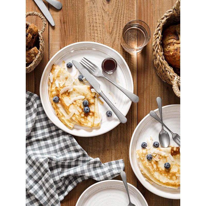 LE TAUCI Dinner Plates Set of 4, 10 Inch Ceramic