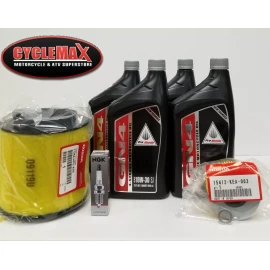 Honda New 2009-2013 Honda Big Red MUV 700 UTV Complete OE Oil Service Tune-Up Kit