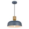 Darkaway Pendant Light Fixtures Ceiling Hanging with Hammered Metal Shade,