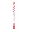 Pastel Show Long Lasting Lip Pencil 204
