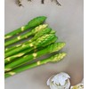AntranStore 10 Pcs Simulation Asparagus Ornaments Props Realistic Plastic Vegetables