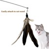 CATDABIR Cat Feather Toys Refills Da Bird Cat Toy, 10