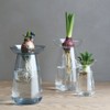 KINTO 20841 Flower Vase, Aqua Culture Base, 3.1 inches (80