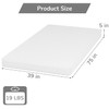 PayLessHere 5 Inch Twin Green Tea Memory Foam Mattress Cooling