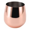 Stainless Steel Wine Glass Stemless Egg Shape 550ml Unbreakable Portable